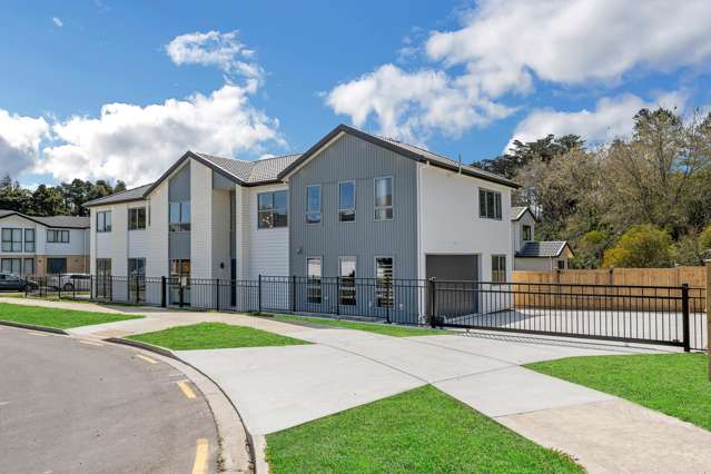 40 Rashni Road Flat Bush_1
