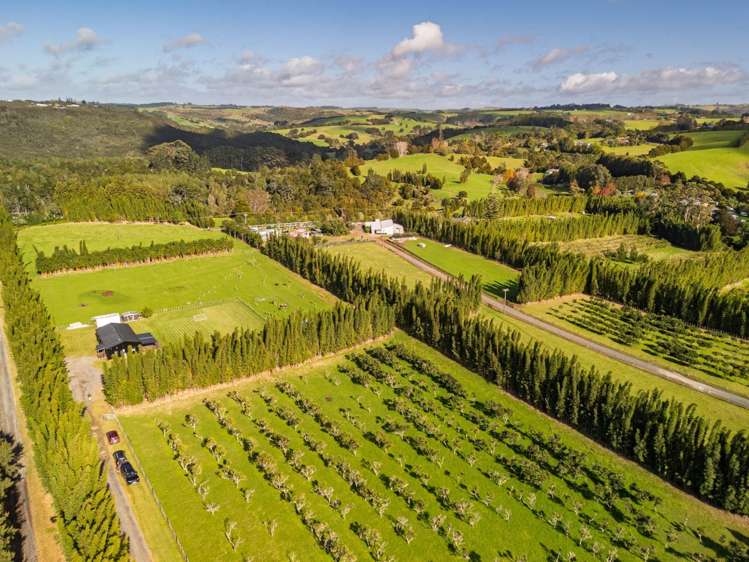 227 Pungaere Road Kerikeri Surrounds_17