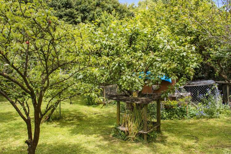 10 Richmal Street Waihi_6