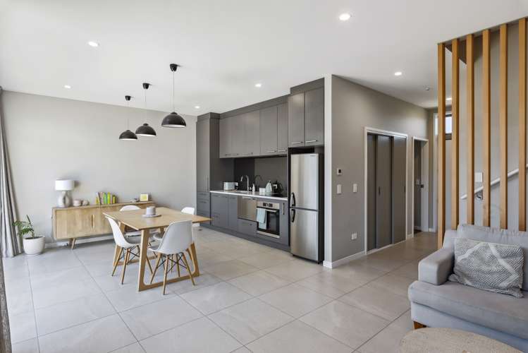 35 Te Ara Kawakahia Waikanae_7