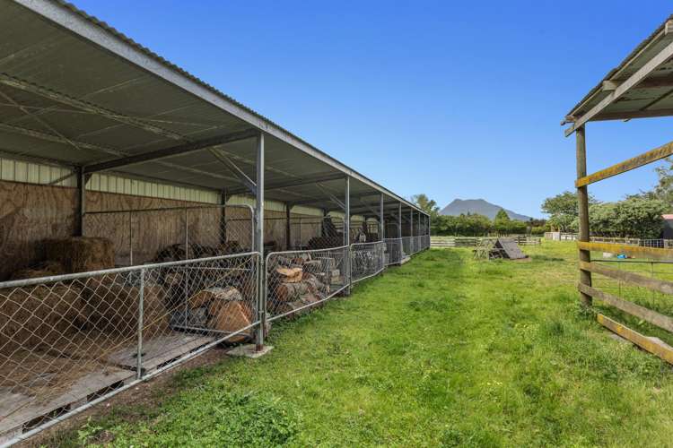 2420 State Highway 30 Otakiri_25