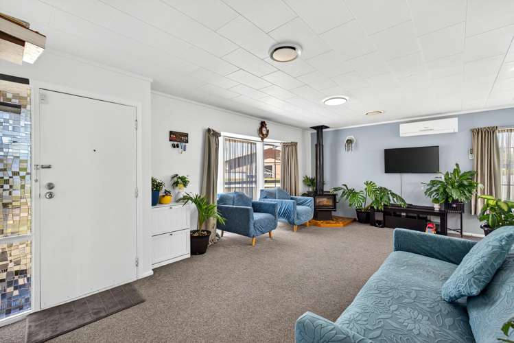 20 Norfolk Street Tamatea_4