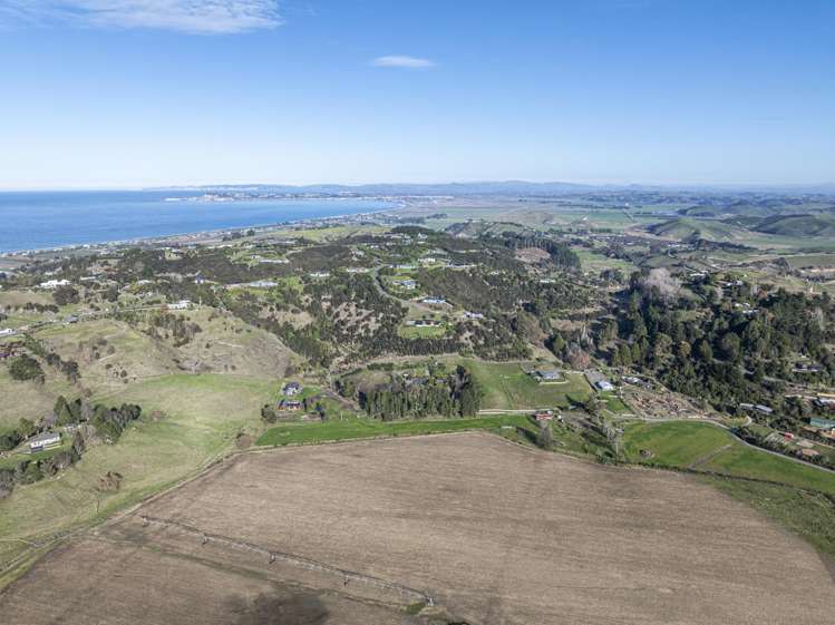 342 Hill Road Eskdale_10