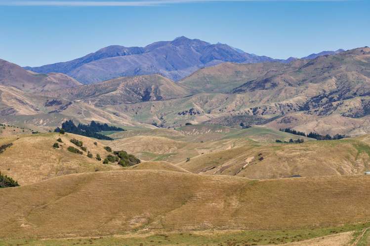 Corner Marfells Beach and Clifford Roads Lake Grassmere_15