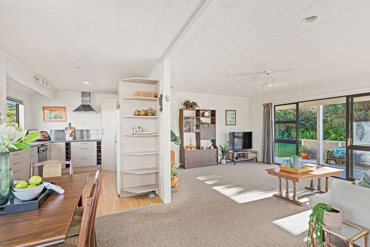 9 Coquette Street Warkworth_5