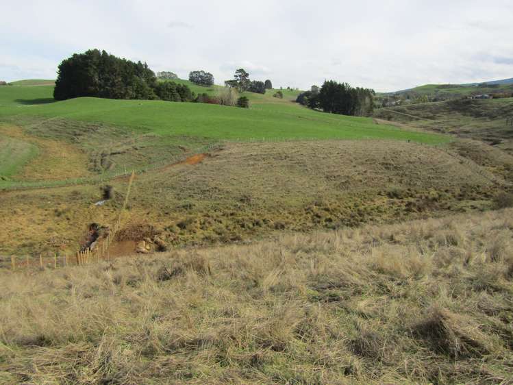 Te Tahi Road Pirongia_11