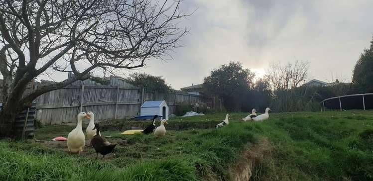 94 Sidey Street Calton Hill_15