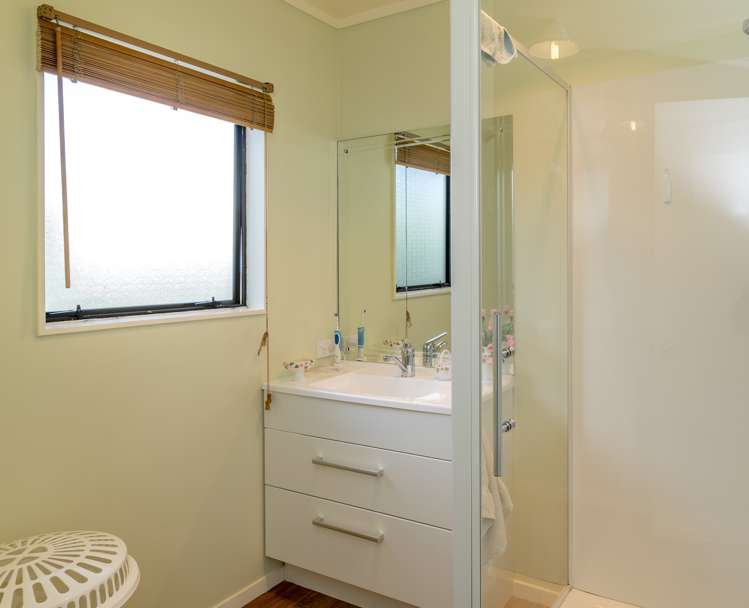 15b Douglas Street Levin_4