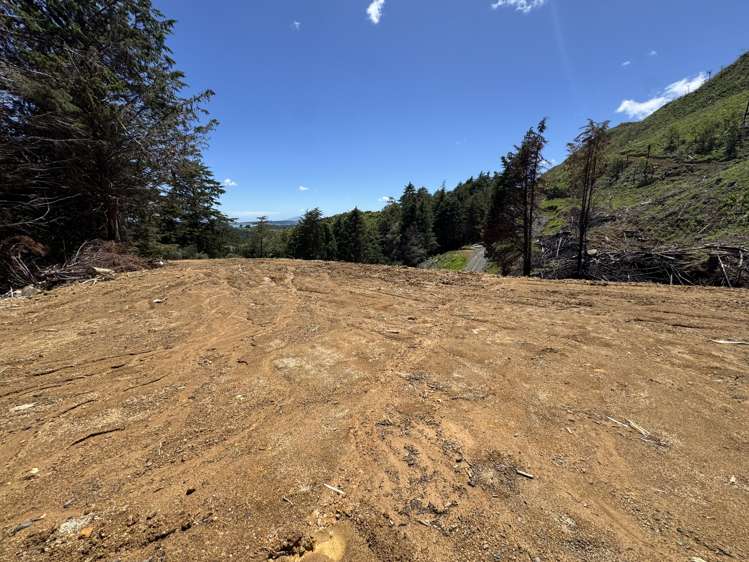 Lot 3 Brown Road Kawhia_6
