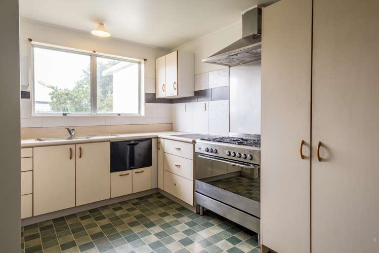 58 Alma Street Renwick_1