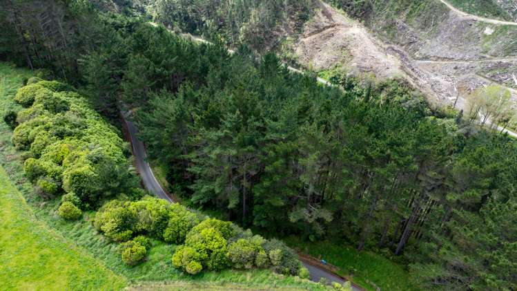 Lot 6 Tangahoe Valley Road Ohangai_7