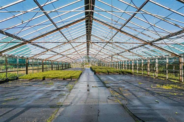 1285 Dairy Flat Highway Dairy Flat_22