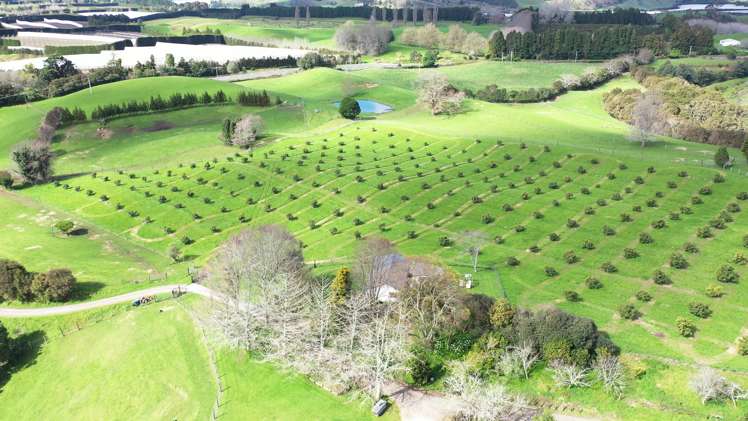 State highway 33 Paengaroa_5