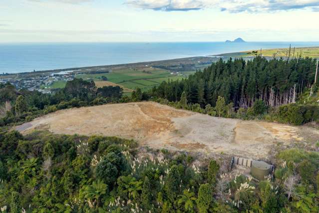 201 Kokako Heights Matata_1