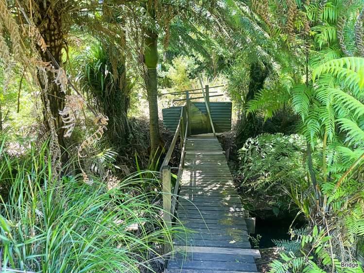 29 Cape Barrier Road Great Barrier Island (Aotea Island)_7