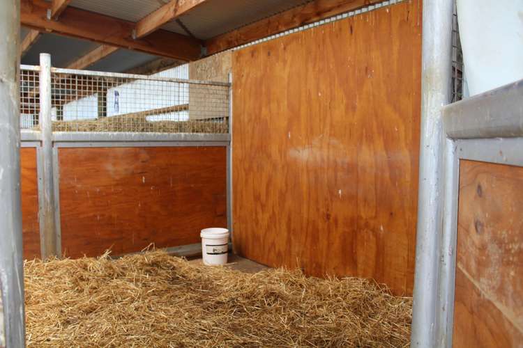 446 Anderson Road Winton Surrounds_16