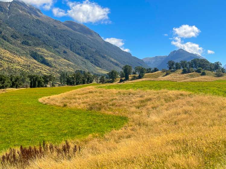 Dart River Island Glenorchy_9