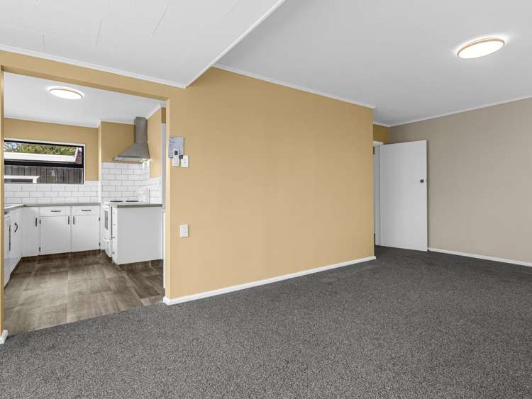 6 Geddis Ave Maraenui_5