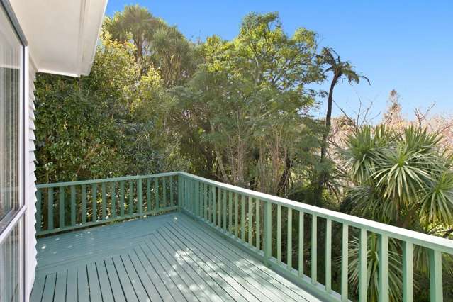 75 Mill Road Vogeltown_4