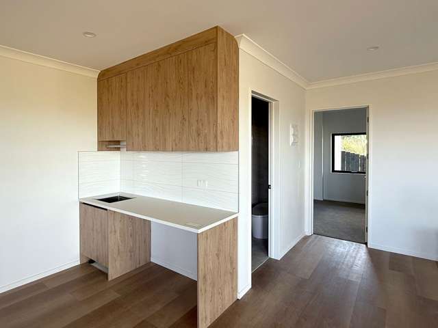 30 Ridgehill Rise Flat Bush_1