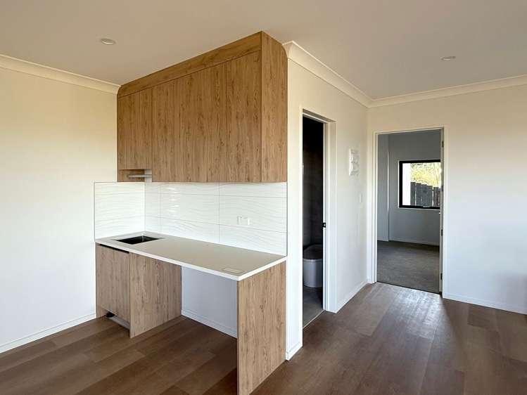 30 Ridgehill Rise Flat Bush_1