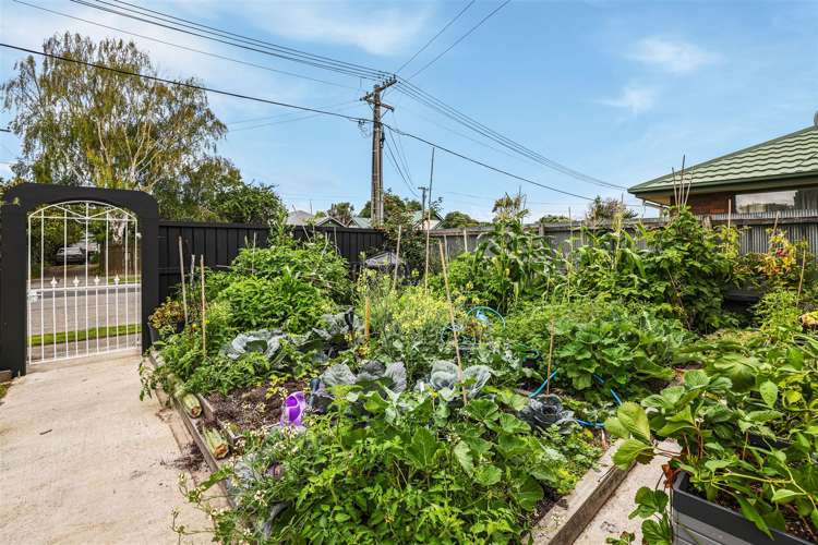 43 Cleveland Street Edgeware_21