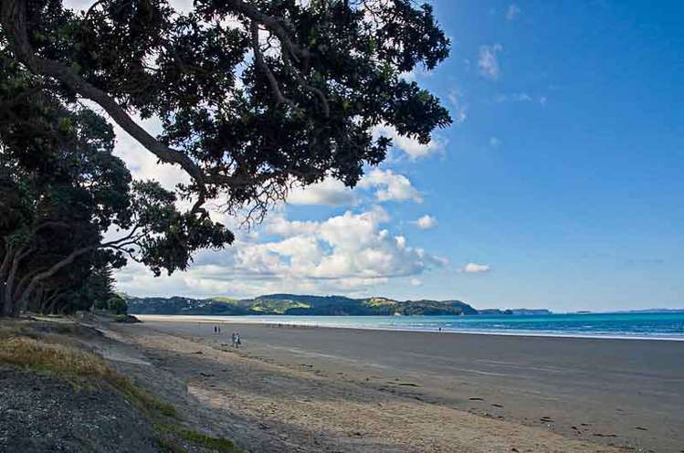 14 Ringi Lane Orewa_12