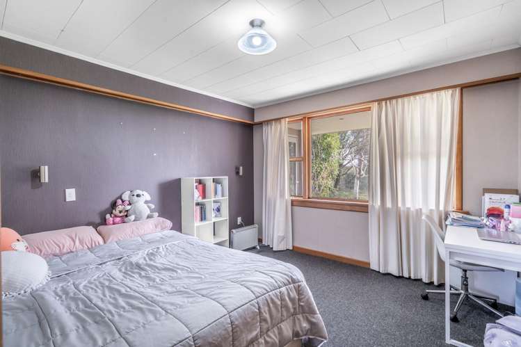 12 Shand Road, Farm 1 Rimu_15