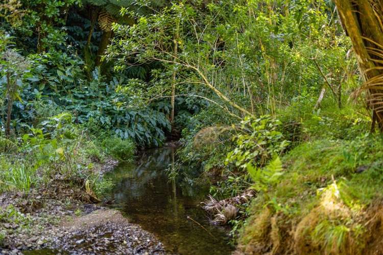 1698 Russell Road Hukerenui and Surrounds_41