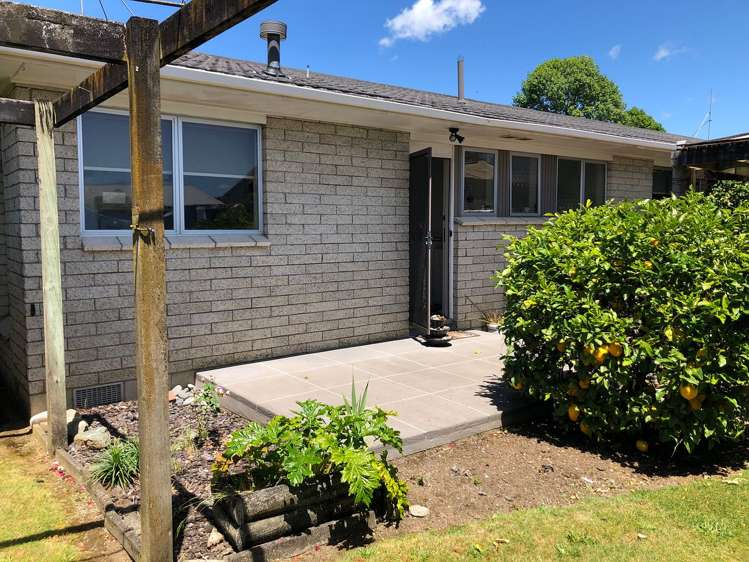 25b Sillary Street Hamilton East_4