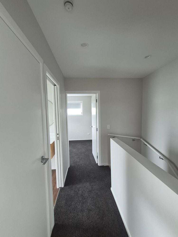 21B Ferguson Street Levin_1