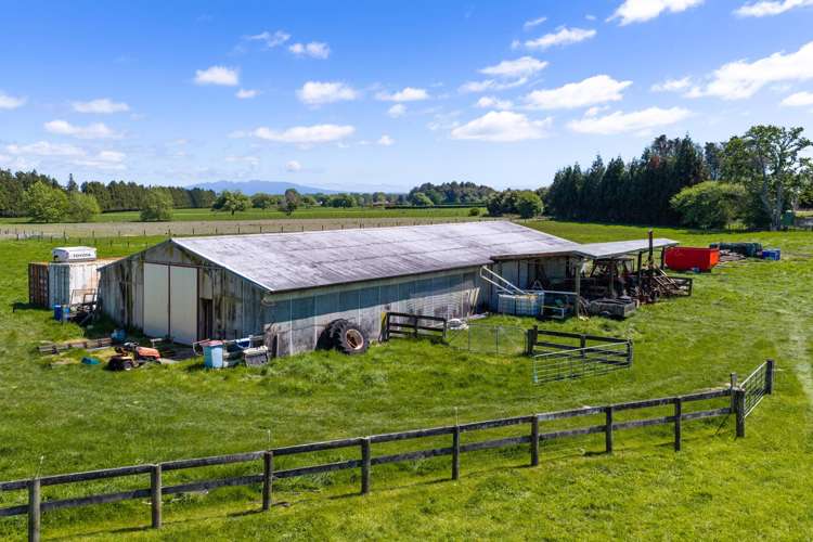 542 Kaipaki Road Ohaupo_11