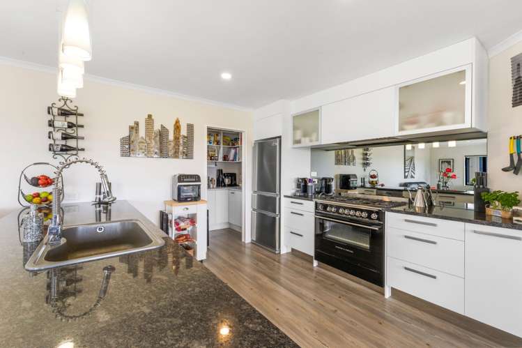 98 Pitt Road Hillsborough_17