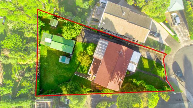 8 Surat Place Glen Eden_1