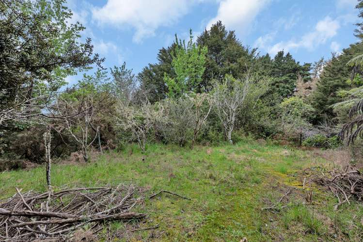 197 Whau Valley Road Whau Valley_31