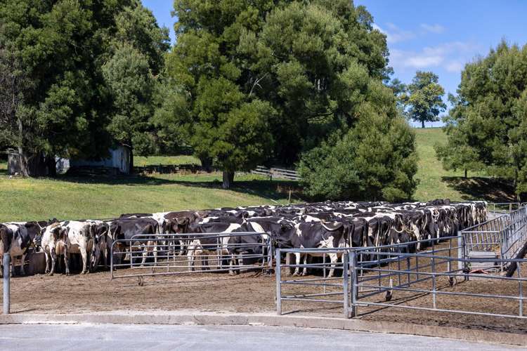 Lot 1/4/366 Karapiro Road Karapiro_18