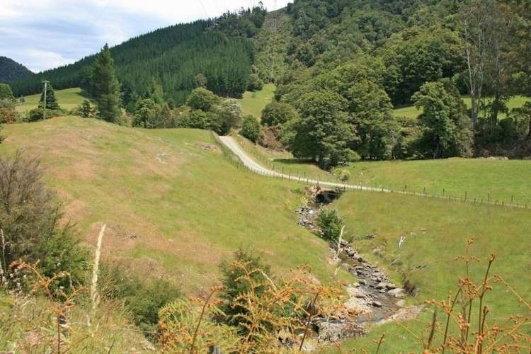 994 Maungatapu Road Rai Valley_11