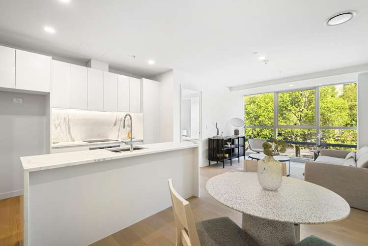 204/1 Greys Ave Auckland Central_0