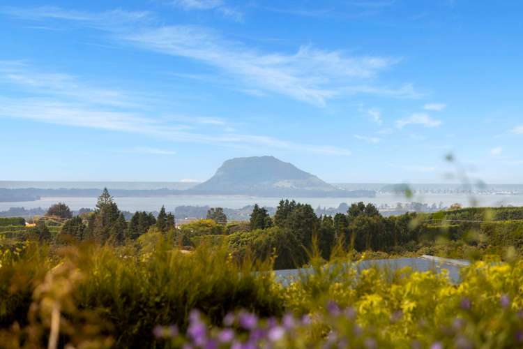 48 Sinclair Road Whakamarama_7