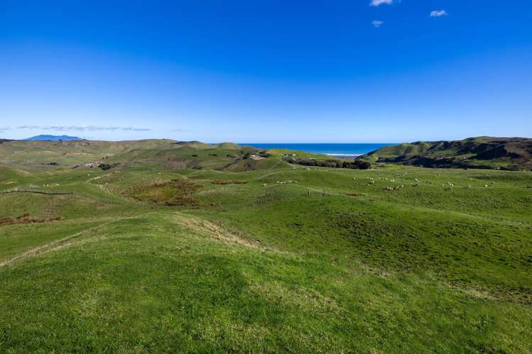 767 Te Akau Coast Road Te Akau_15