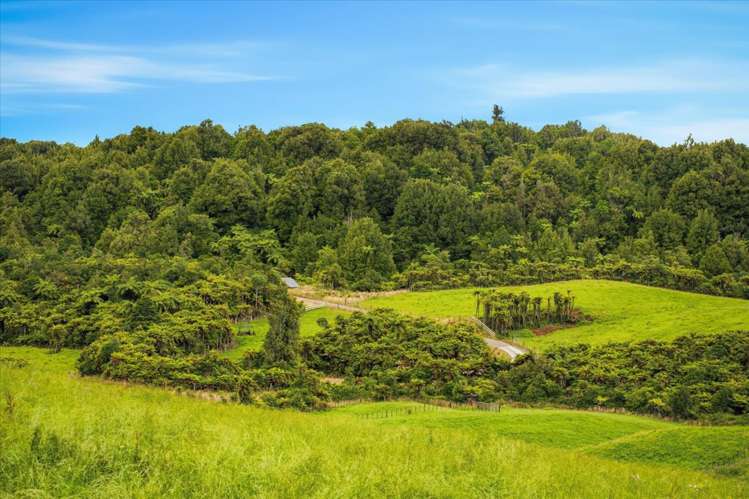 938C Whakamarama Road Whakamarama_13