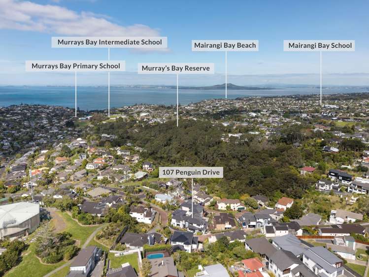 107 Penguin Drive Murrays Bay_47