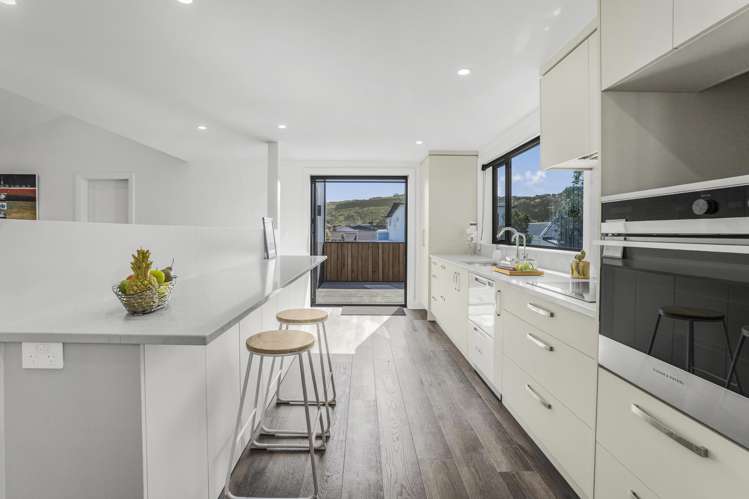 1A Richmond Street Petone_7