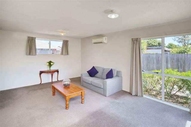 46b Daniels Road Redwood_4