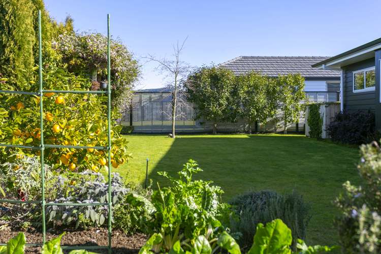 5 Royal Coachman Drive Nukuhau_9