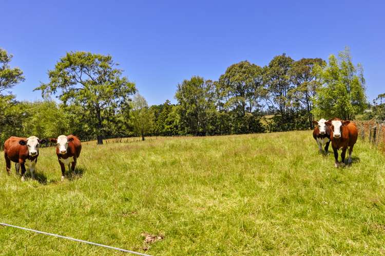 47 Puke Road Kumeu_25