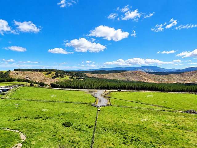 Babylon Coast Road Dargaville_1
