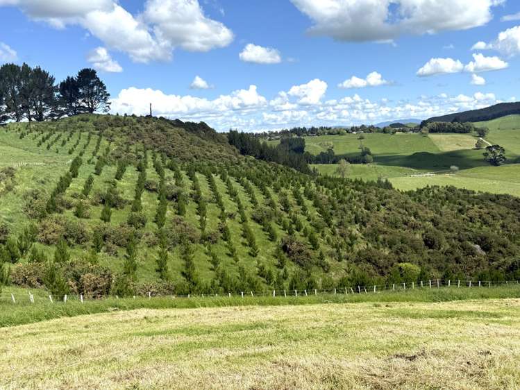 1/1745 Arapuni Road Parawera_24