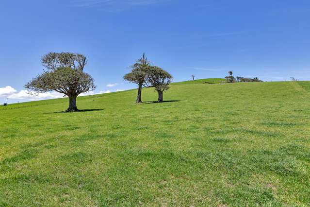 458 Parahi Road Ruawai_3