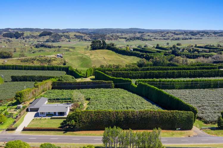 494 Paerata Ridge Road Opotiki and Surrounds_18